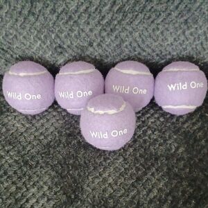 5 New Wild One Purple Tennis Ball Dog Toys